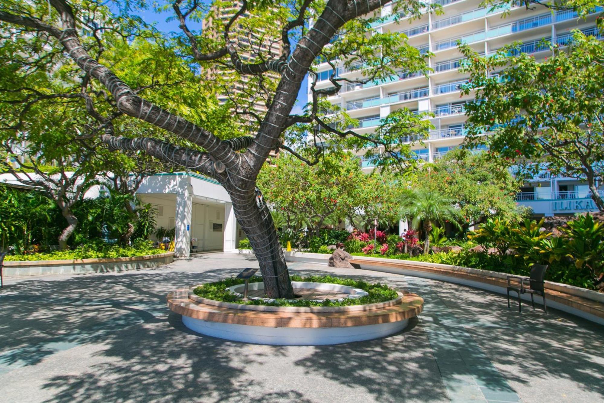 Ilikai Tower 2109 City View 2Br Honolulu Kültér fotó